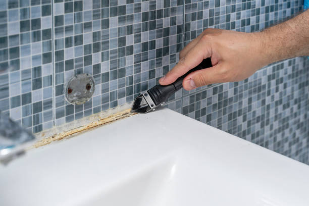 Reliable Salmon Brook, CT Mold Removal Solutions
