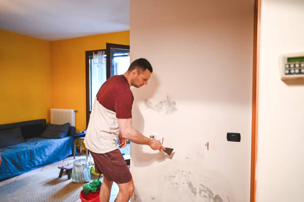 Best Commercial Mold Removal  in Salmon Brook, CT